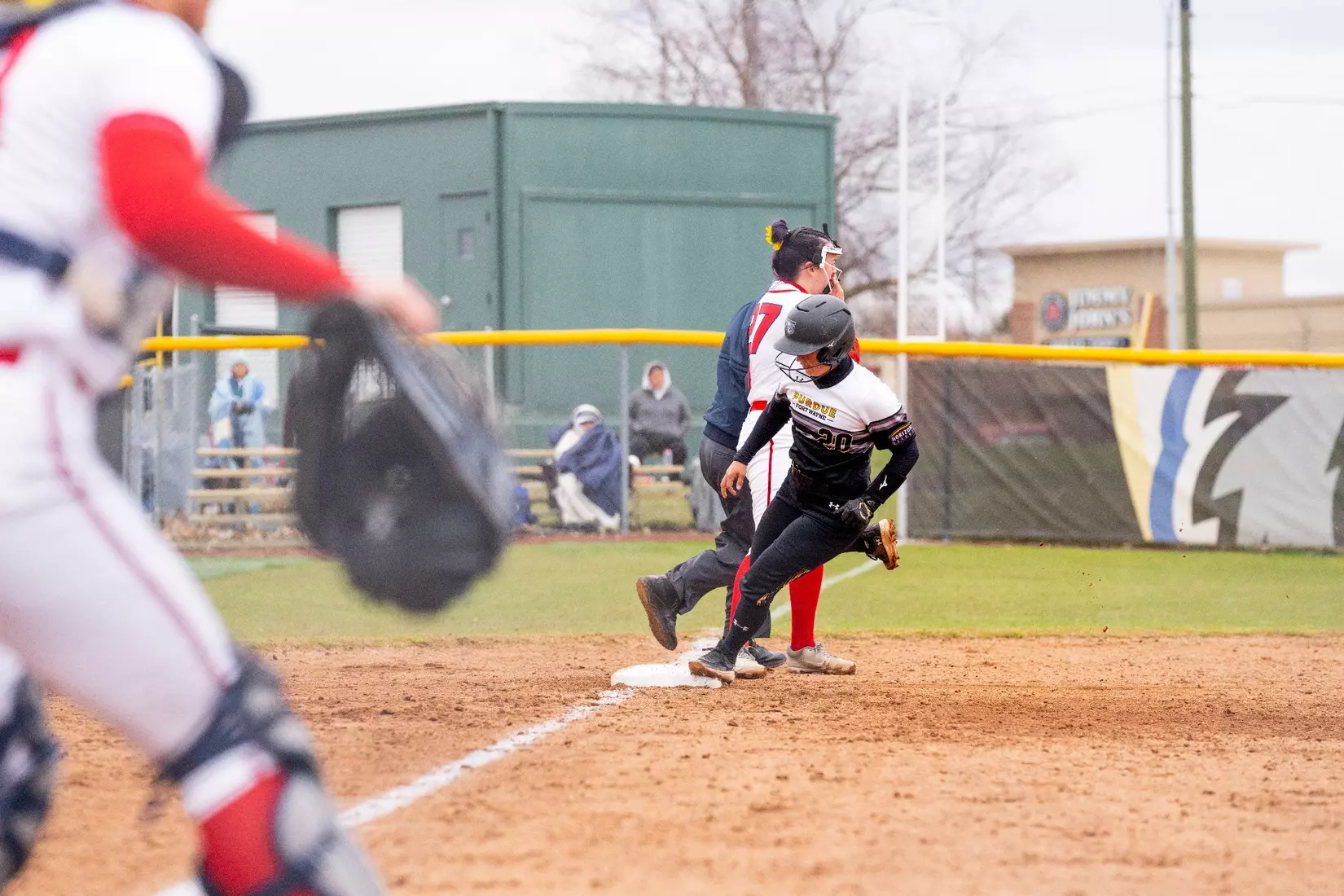 Mastodons vs. Detroit Mercy