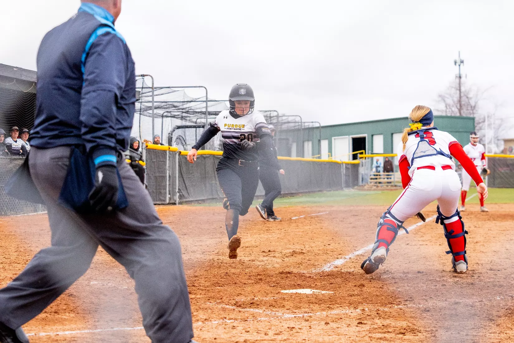 Mastodons vs. Detroit Mercy