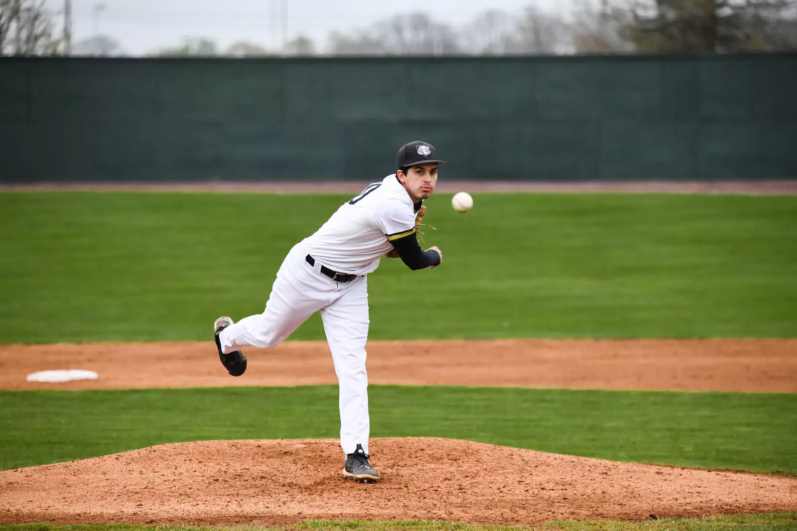 Mastodons vs. Wright State