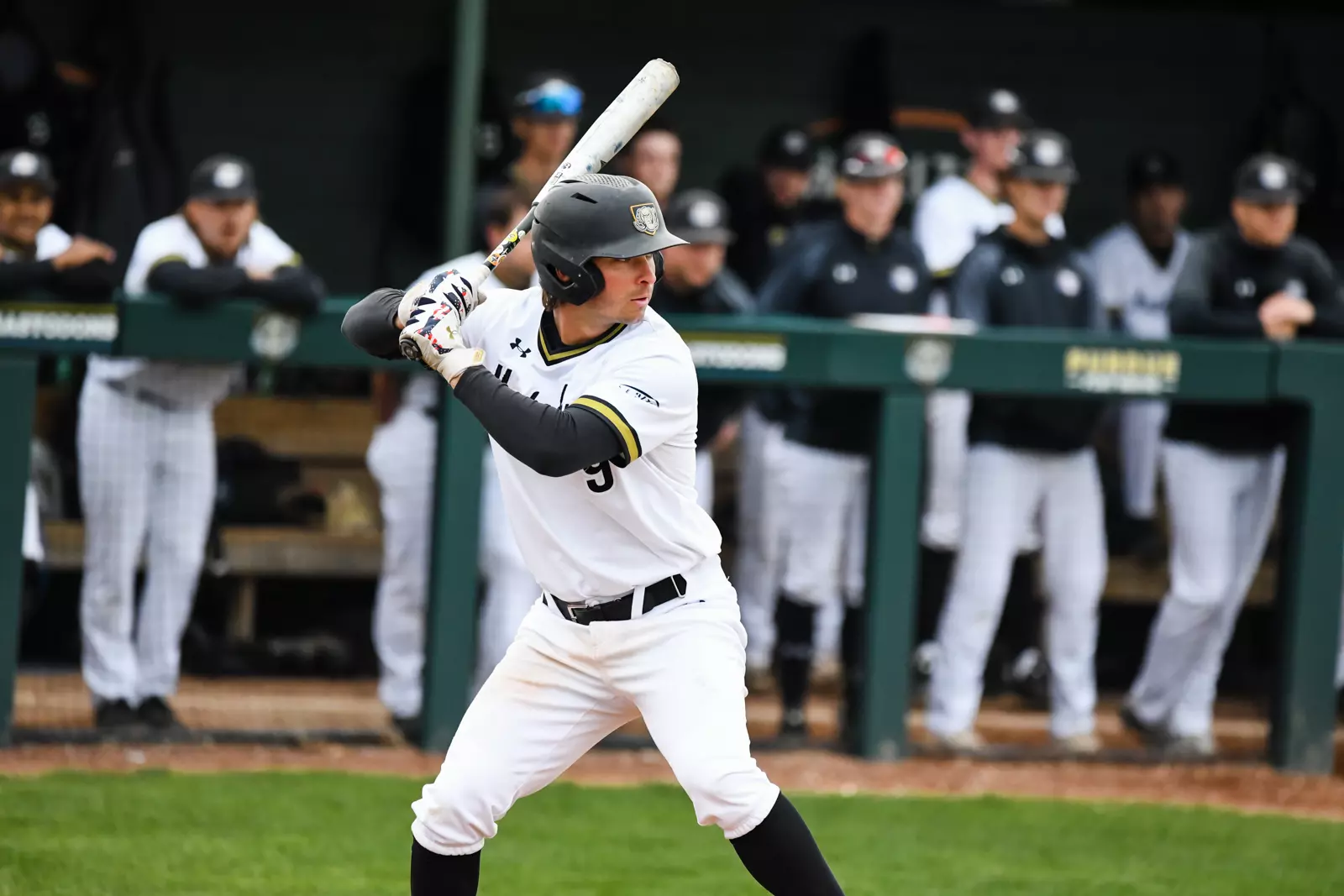 Mastodons vs. Wright State