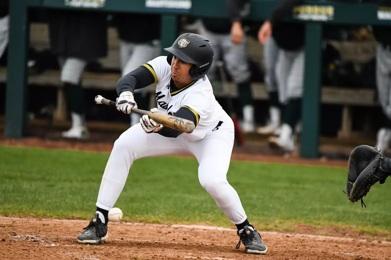 Mastodons vs. Wright State