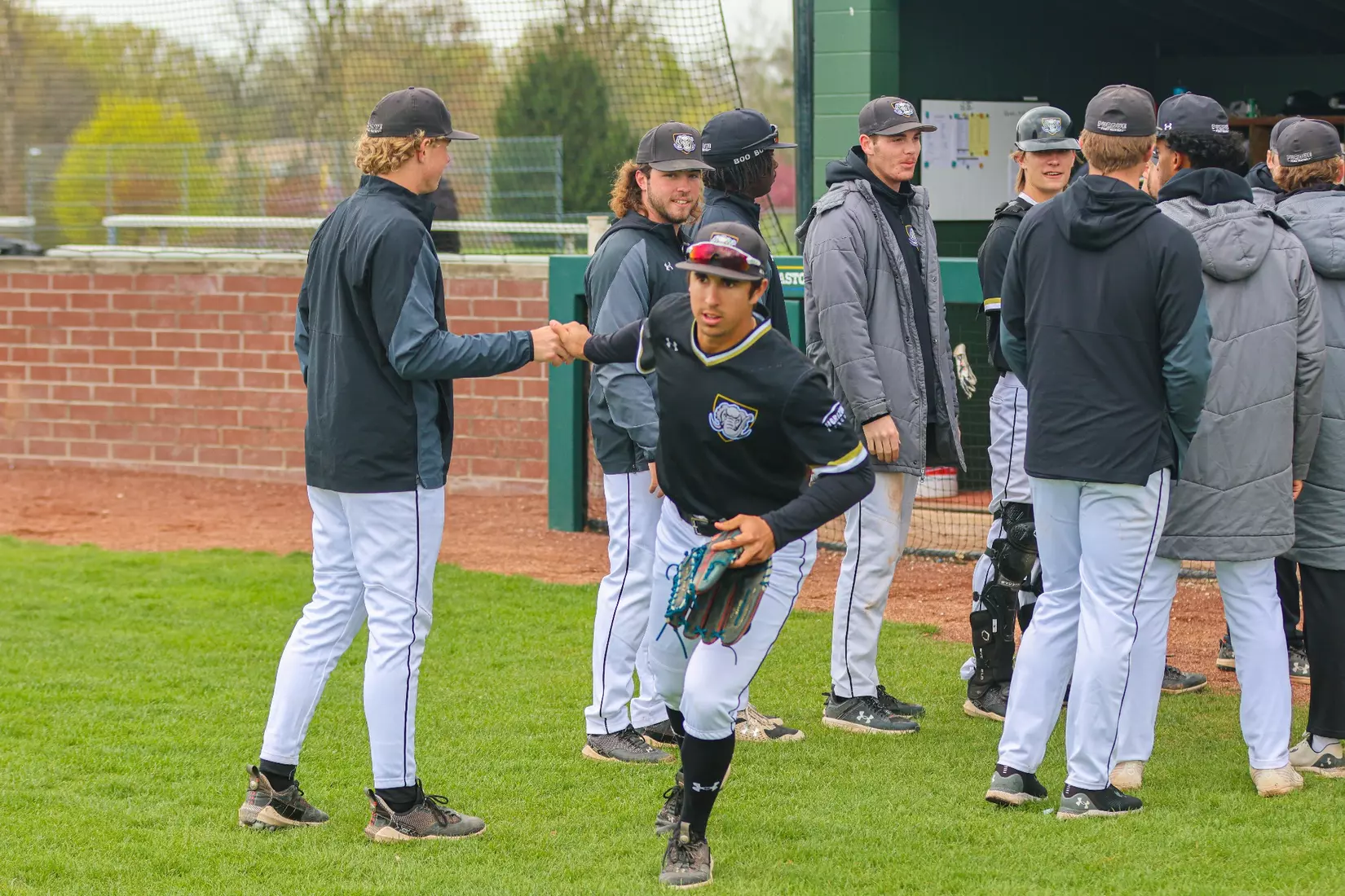 Mastodons vs. Raiders