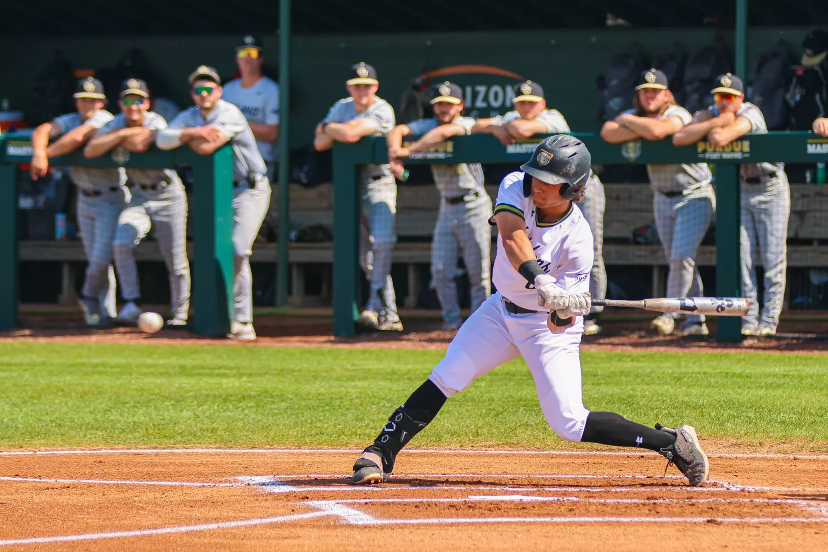 Mastodons vs. Oakland