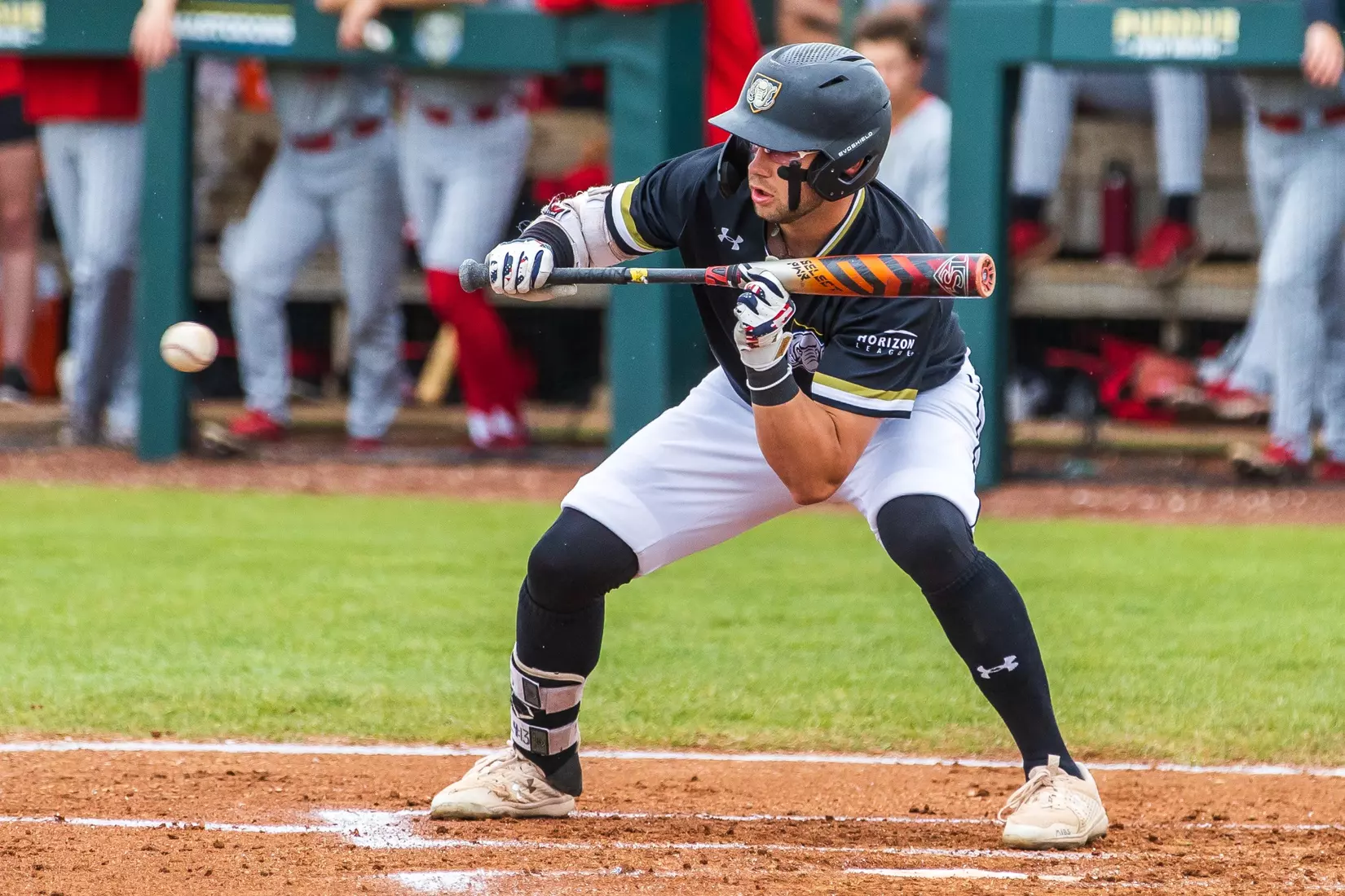 Baseball vs. Youngstown State