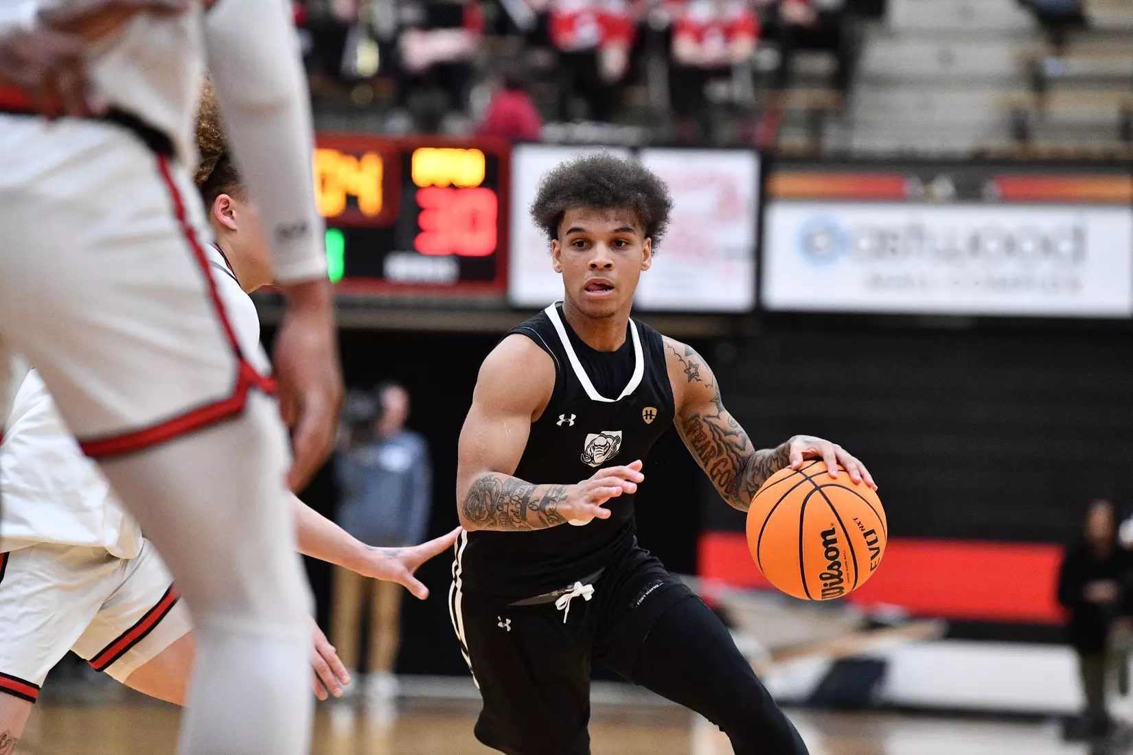 Mastodons at Penguins