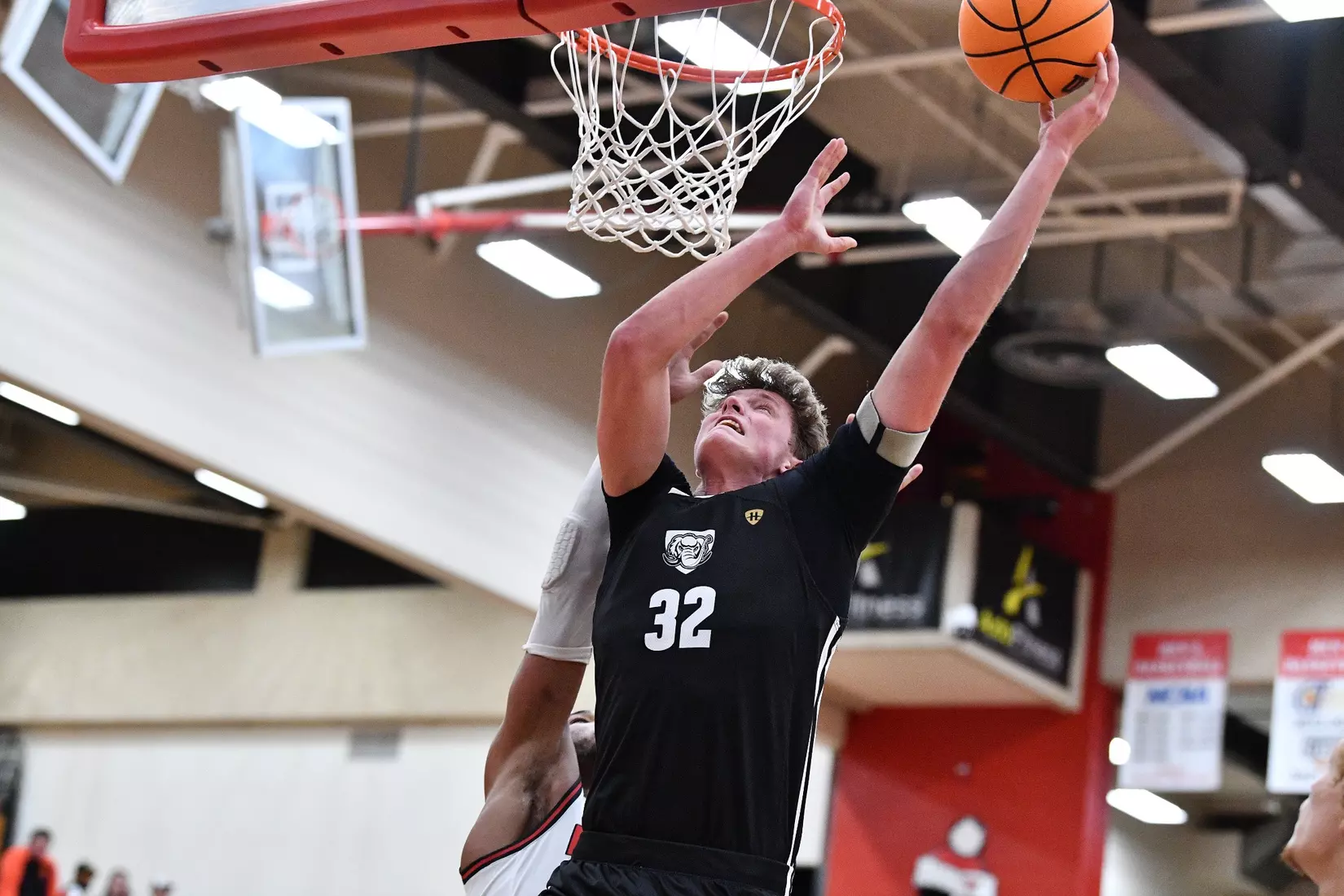 Mastodons at Penguins