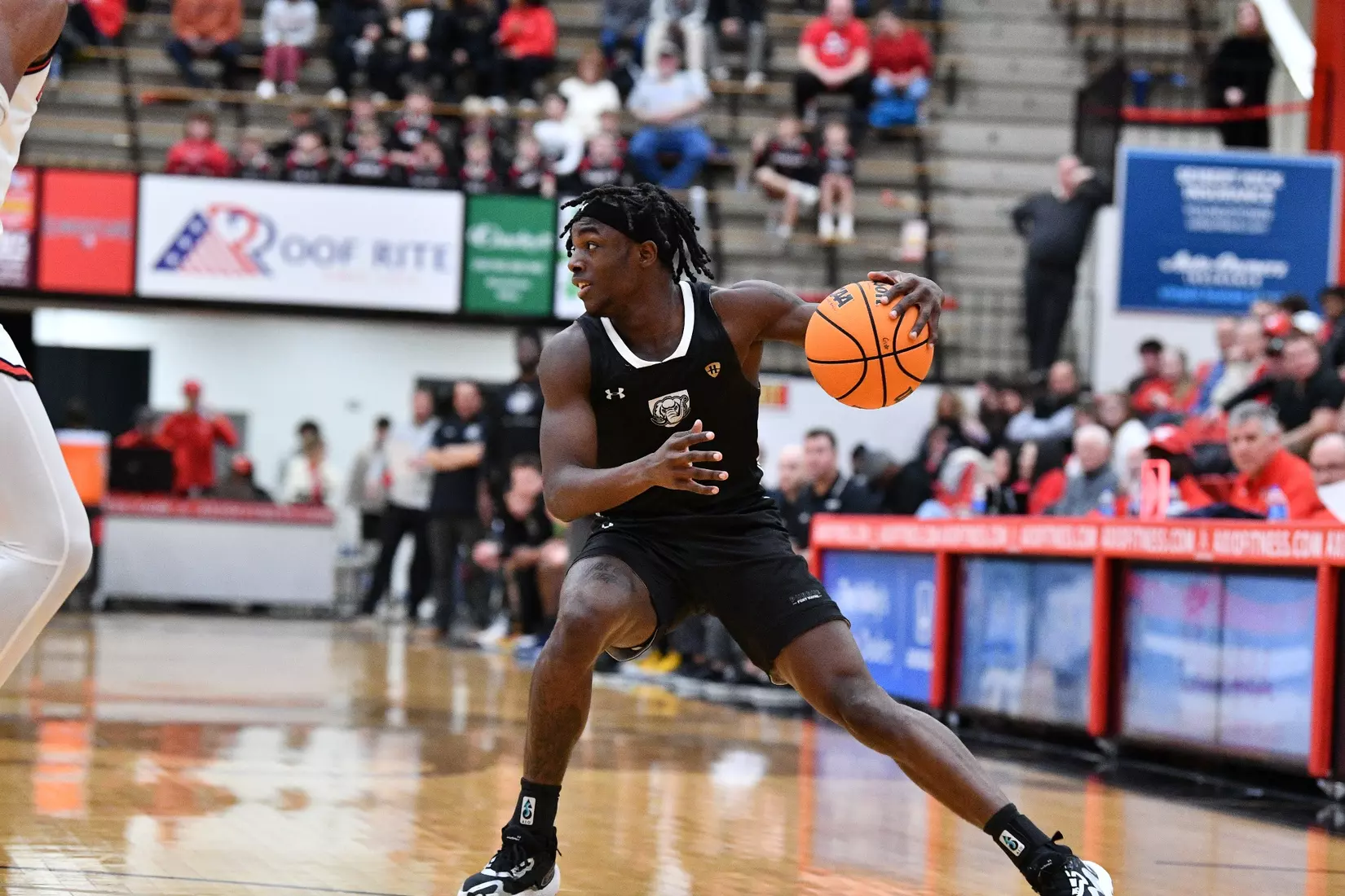 Mastodons at Penguins