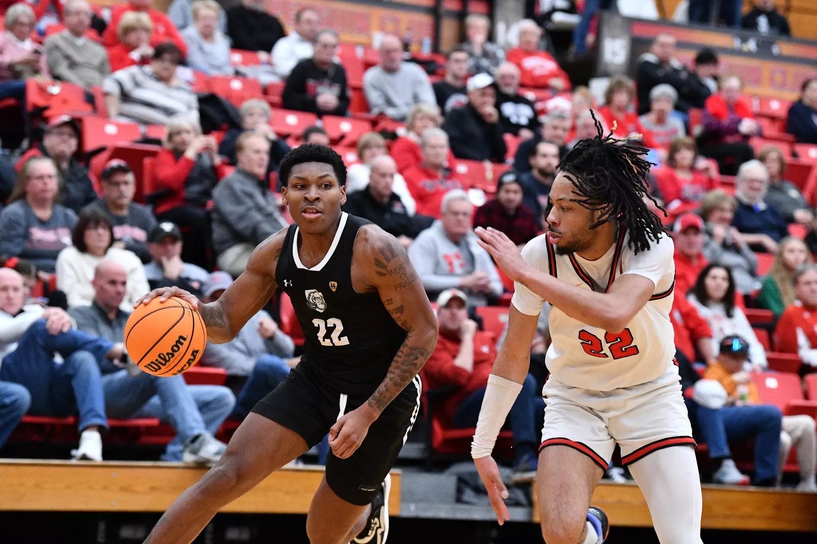 Mastodons at Penguins