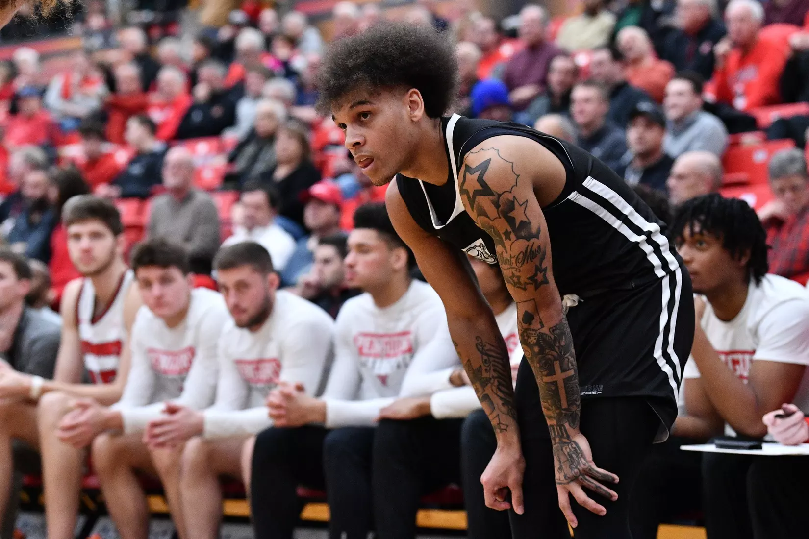 Mastodons at Penguins