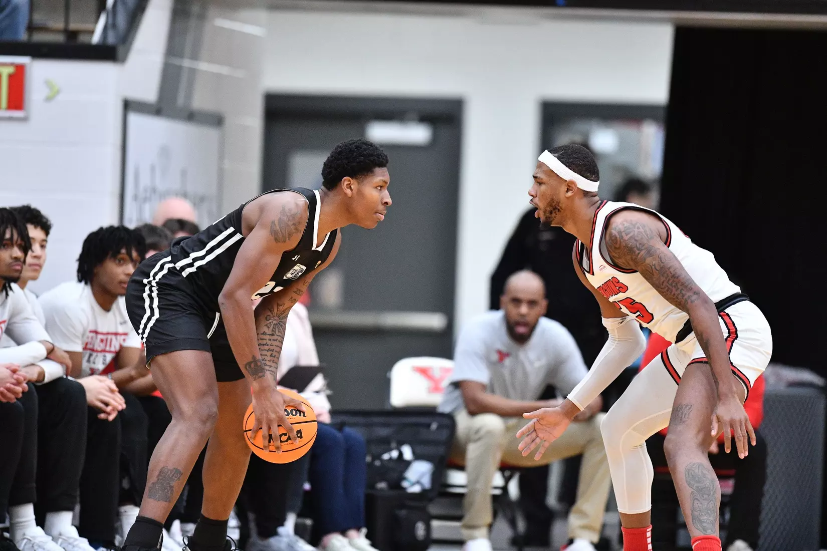 Mastodons at Penguins