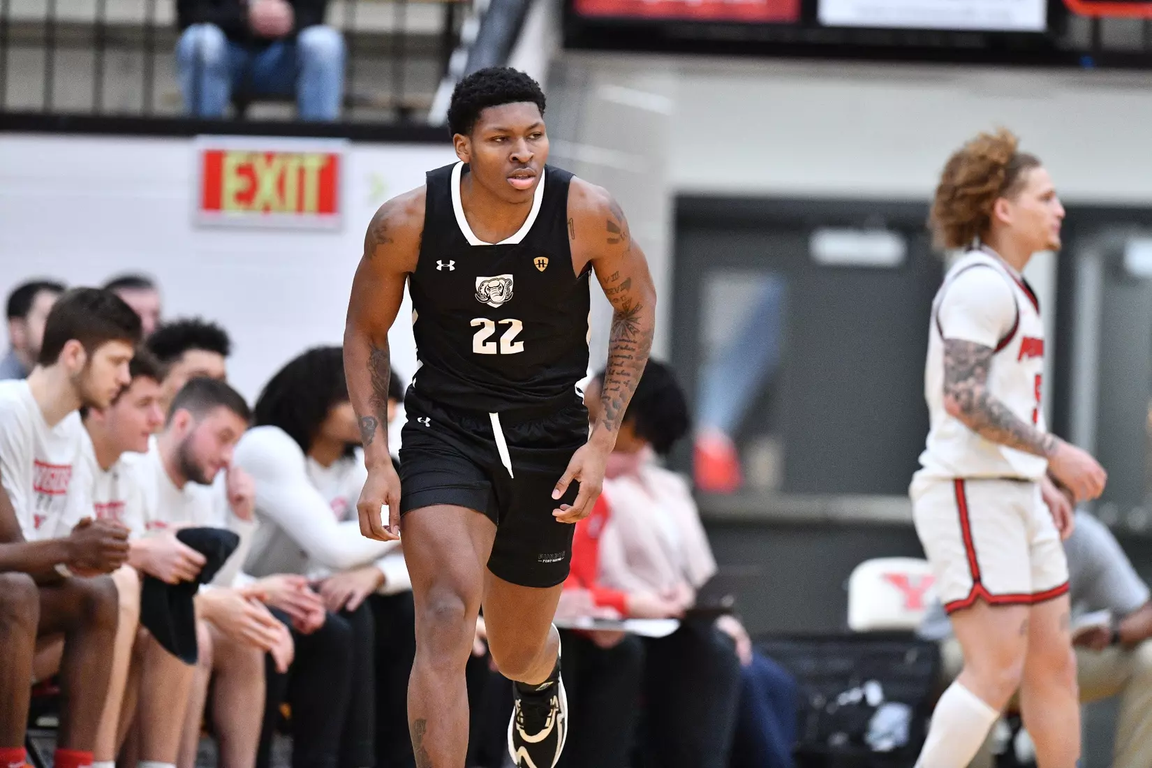 Mastodons at Penguins