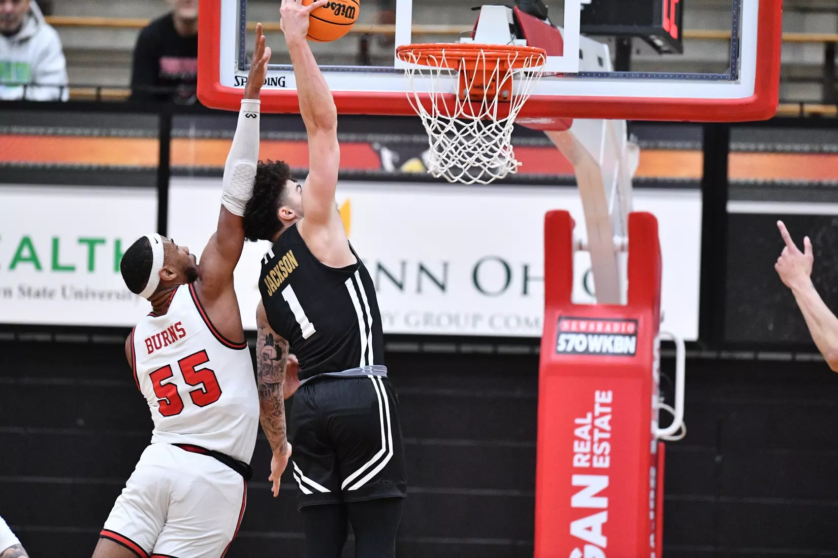 Mastodons at Penguins