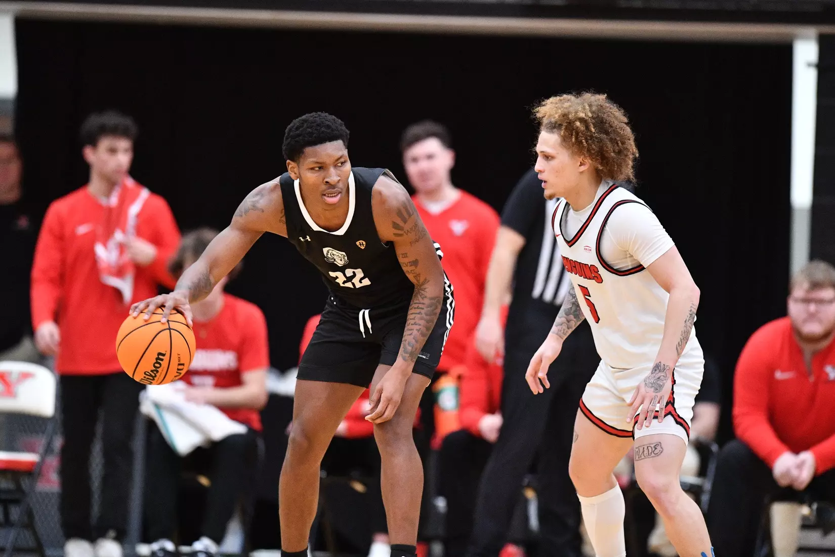 Mastodons at Penguins