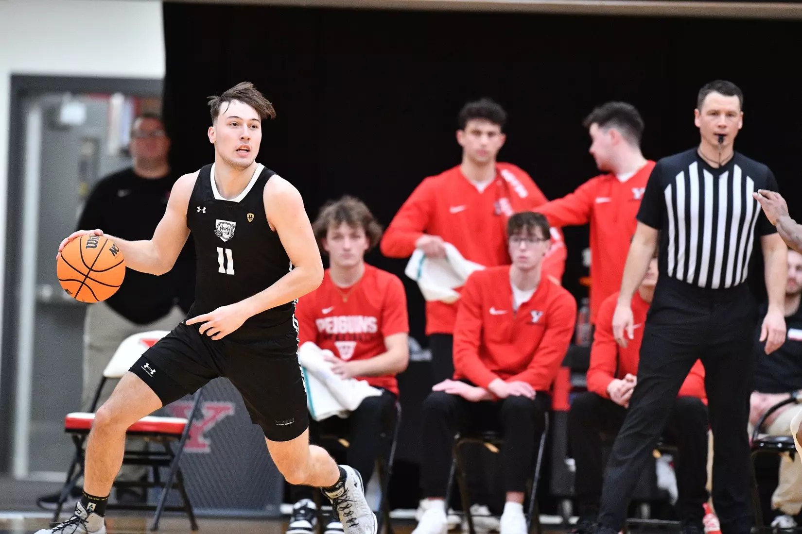 Mastodons at Penguins