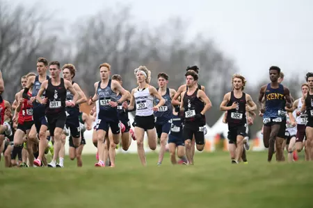 Harrison Niswander