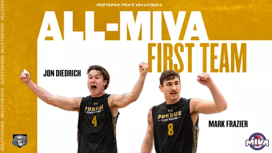 All-MIVA 2024