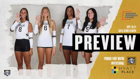 Preview WVB