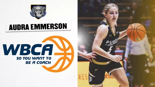 Audra Emmerson So You Want to Be a Coach