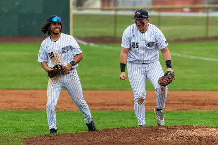 baseball happy celebration