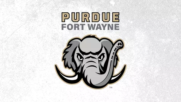 new story web graphic