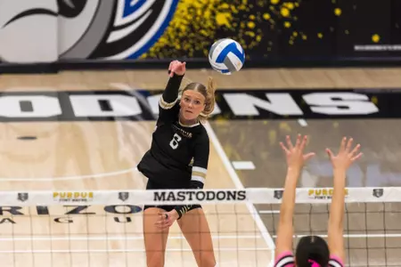 Riley Rosneck