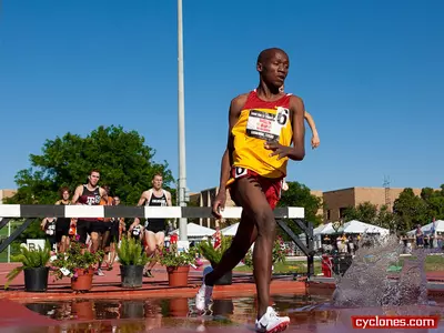 Bor Storms to Second in Steeplechase