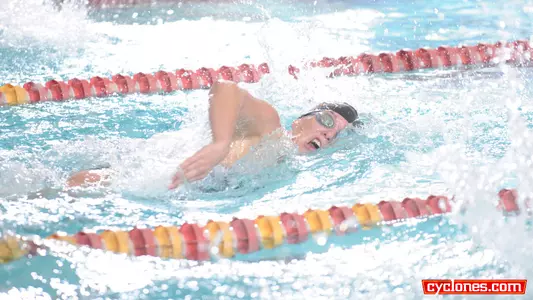 Swimming and Diving Hosts South Dakota State Saturday
