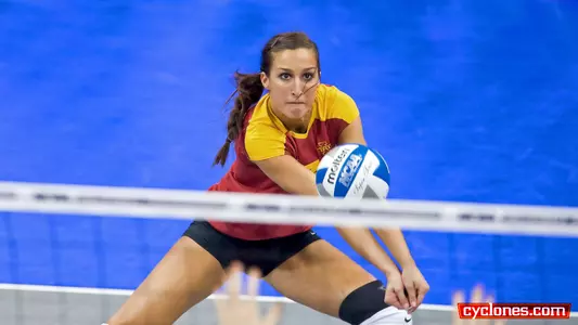 Rachel Hockaday Blogs From FCAV