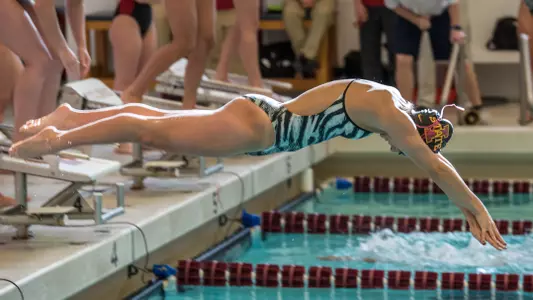 Twelve Swimmers and Divers Earn Academic Honors