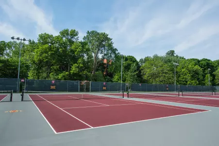 Forker Courts