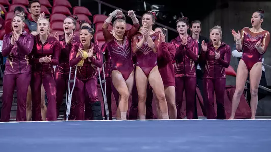 Team - Arizona