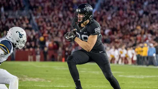 WVU, West Virginia, FB, Football, 2018-19