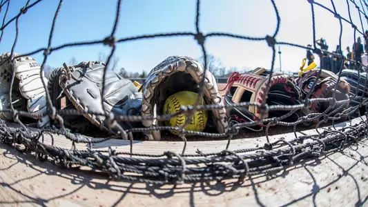 Generic Softball Photo
