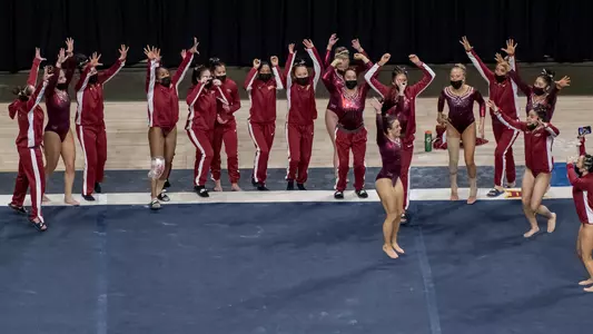 Team - NIU