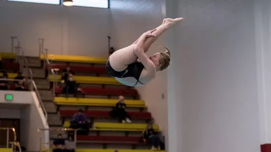 Joscelyn Buss