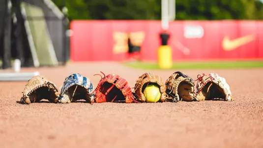 Softball Gloves