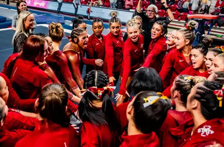 Gymnastics Team