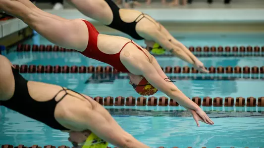 swimmers diving into pool