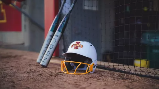 Softball Stock - Helmet & bats