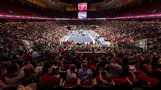 Gymnastics in Hilton