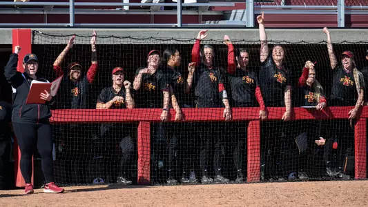 Softball dugout celebration