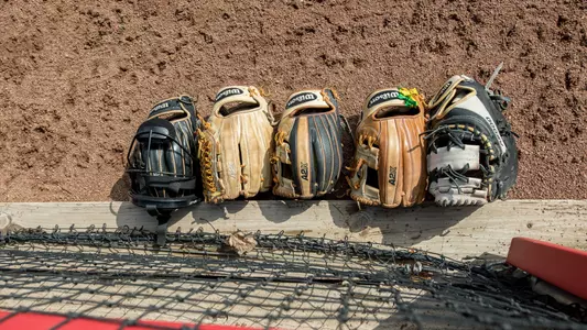 Stock SB picture - gloves