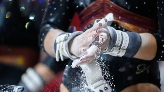 Stock gym picture - chalk