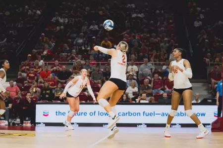 Morgan Brandt