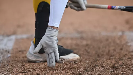 Softball Stock