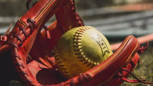 Softball Stock - Glove