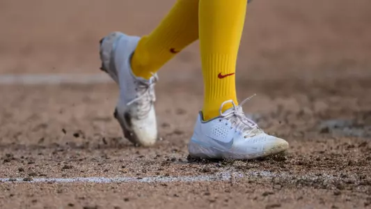 Softball Stock - Socks
