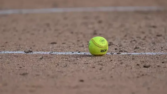 Stock - softball