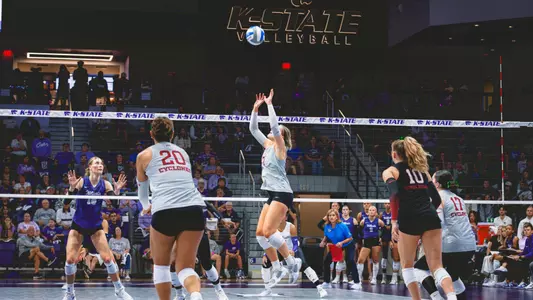 Morgan Brandt