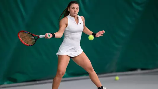 Baylor and TCU Primer Image